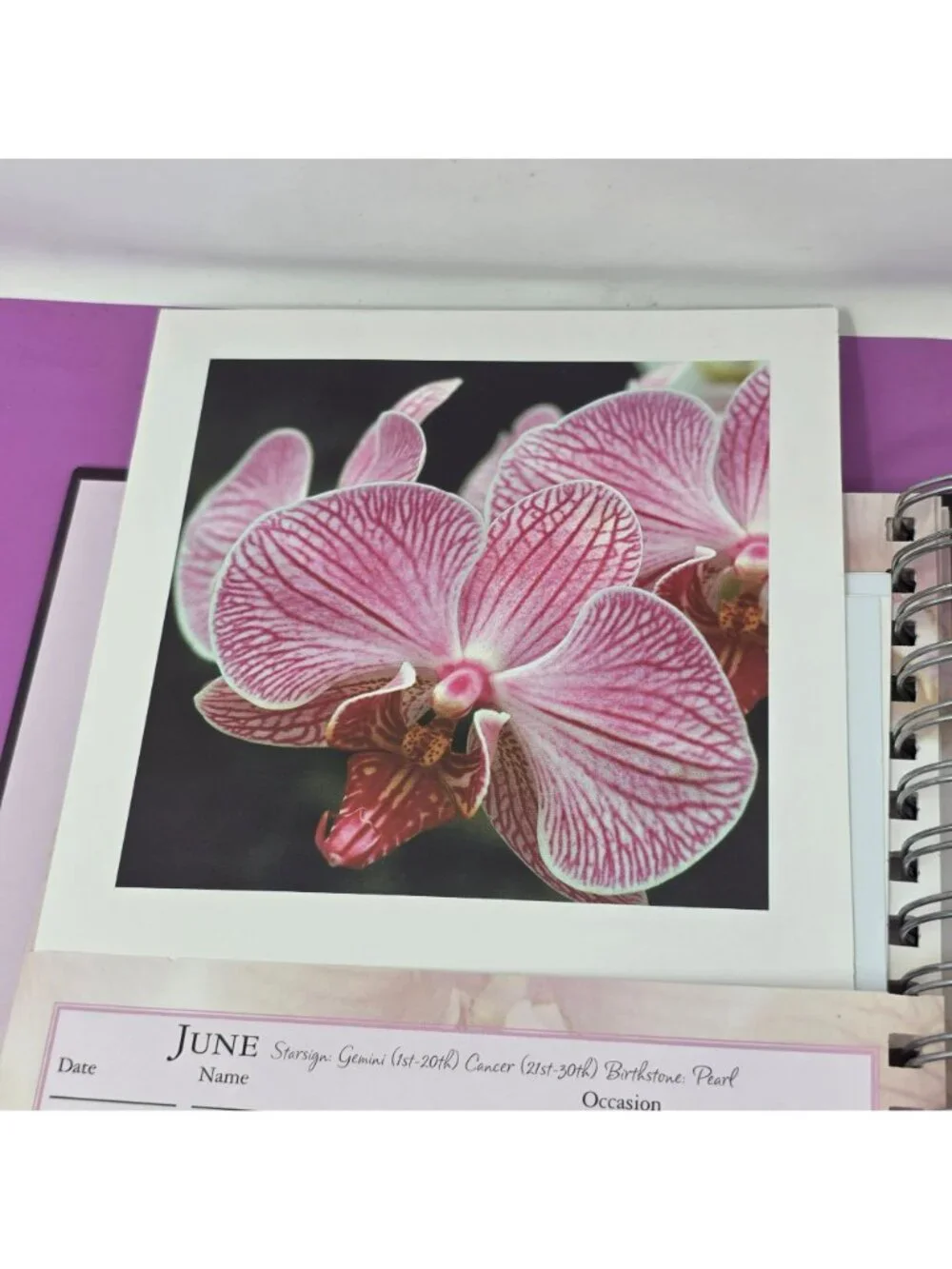 Orchids Greeting Card Book Spiral Organizer w/19 Cards & Envelopes BizzyBee 2005